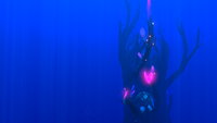 Size comparison with the player