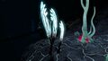 Bioluminescence