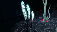 Gabe's Feather