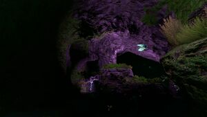 Kelp Forest Caves (1).jpg