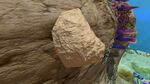 Limestone01.jpg