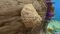Limestone01.jpg