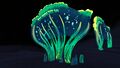 Bioluminescent Seacrowns at night