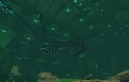 The Sea Emperor swimming around the Aquarium.