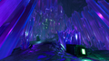 Inside the cache