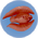 Cured Feather Fish.png