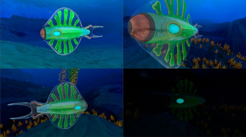 File:Discus Ingame.jpeg
