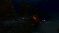 Garryfish