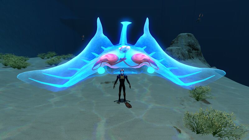 File:Ghostray5.jpg