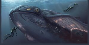 Glow Whale One.jpg