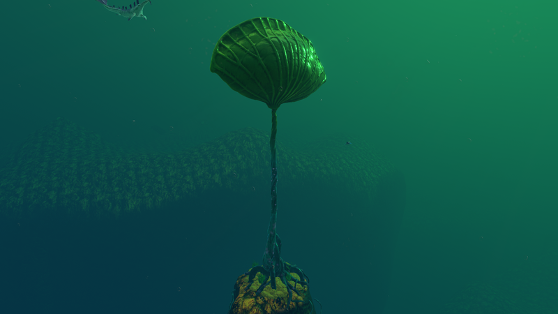 File:Lilypad stage 3.png