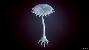 Lostriverplant2v1highpoly.png