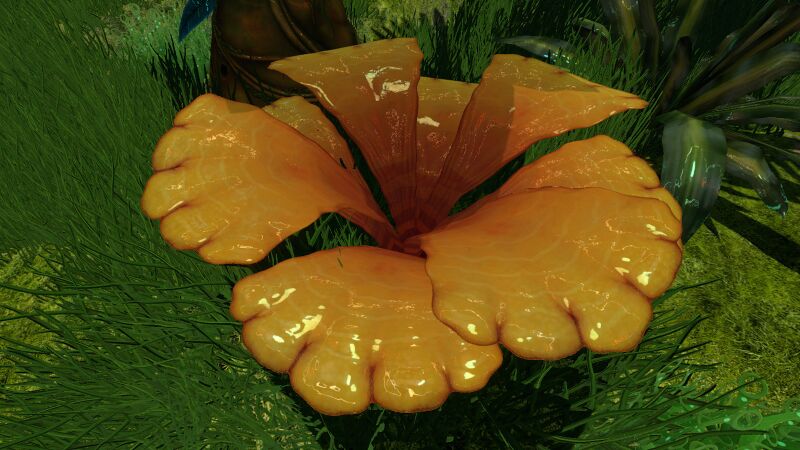 File:OrangePetalsPlant01.jpg