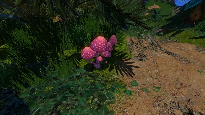 File:PinkCapDay.jpg