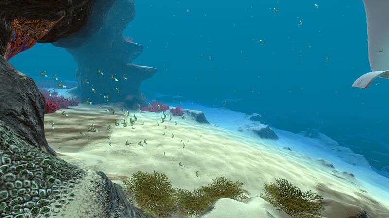 File:Shoal of Fish (2).jpg