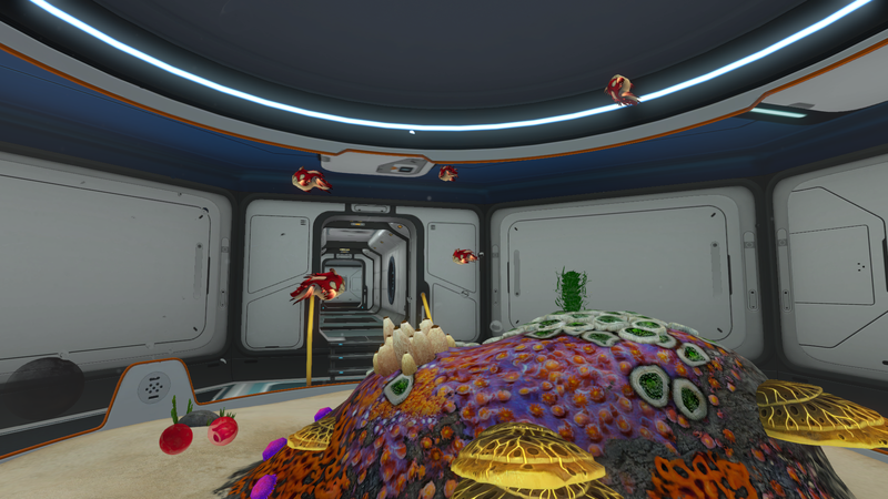 File:BabyCrashAquarium.png
