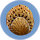 Coral Tube Sample.png