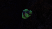 A Uraninite Crystal in the Grand Reef Caves