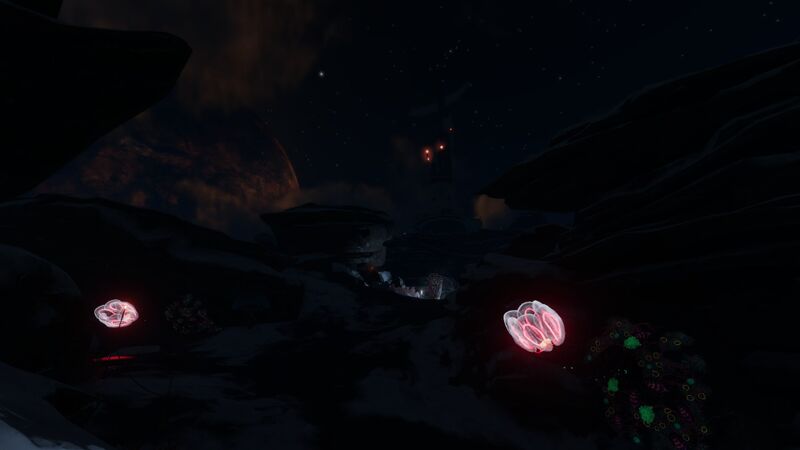 File:Island Overview (night).jpg