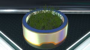 Planter Pot (1).jpg