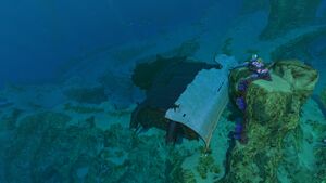 Safe Shallows Wreck -12-.jpg