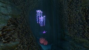 Underwater Islands (1).jpg
