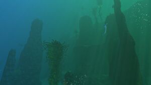 2016-01-25 00015.jpg