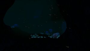 20170521204201 1.jpg