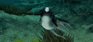 6B4AAA89-0C02-4C36-8BDF-3A7B81530FAE.png