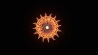 Radiant Sieve Coral top view