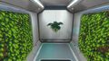 A Marblemelon Plant in a wall planter.