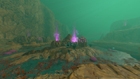 Overview of the biome's southern section