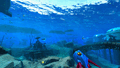 Thumbnail for version as of 07:08, 7 August 2021