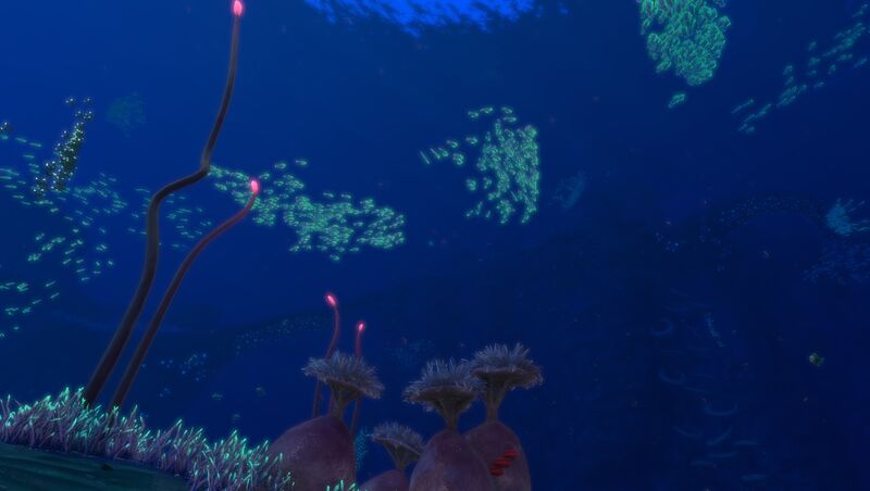 File:TBFlora ov.jpg