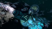 A Crabsquid attacking a Seamoth