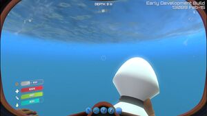 AirBladderInflated.jpg