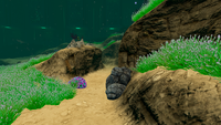 A view of the terrain in the Aquarium