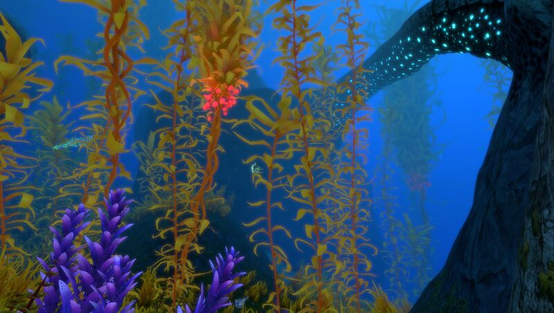 File:ArcticKelpForest 2.jpg