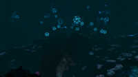 DeepGrandInfoboxpic.png