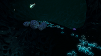 LostRIverCaves.png