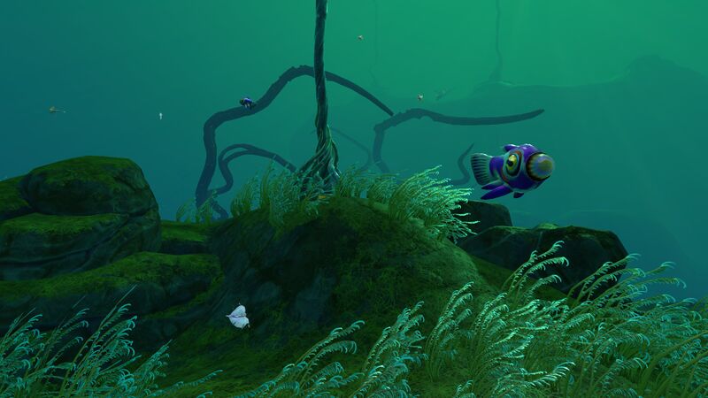 File:NootfishLI.jpg