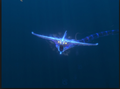 Thumbnail for version as of 00:48, 5 March 2019