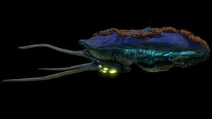 ReefbackA.jpg