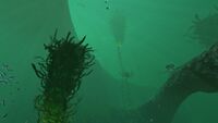 20160804042543 1.jpg
