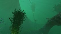 20160804042543 1.jpg