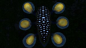 Hoverfish (3).jpg