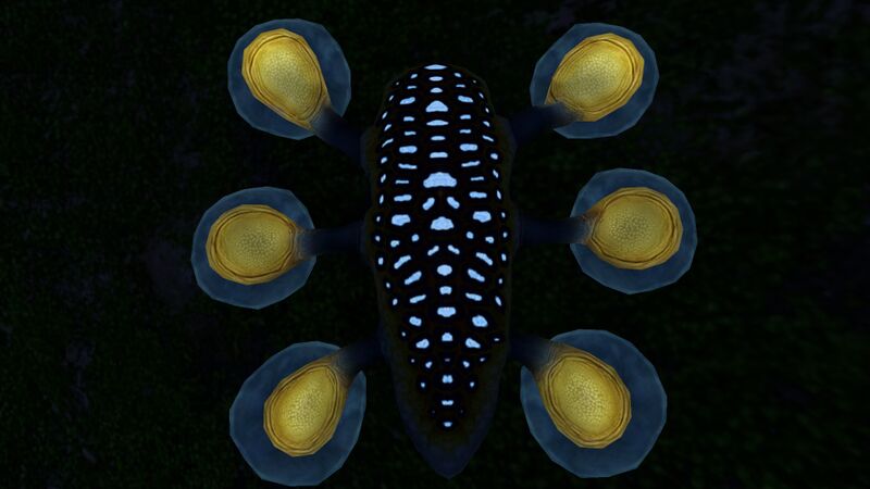 File:Hoverfish (3).jpg