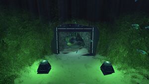 KooshCache1.jpg