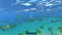 The Signal displayed on the HUD.