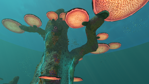 TreeMushroom3.png